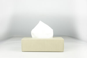 Daisy Tissue box Cream